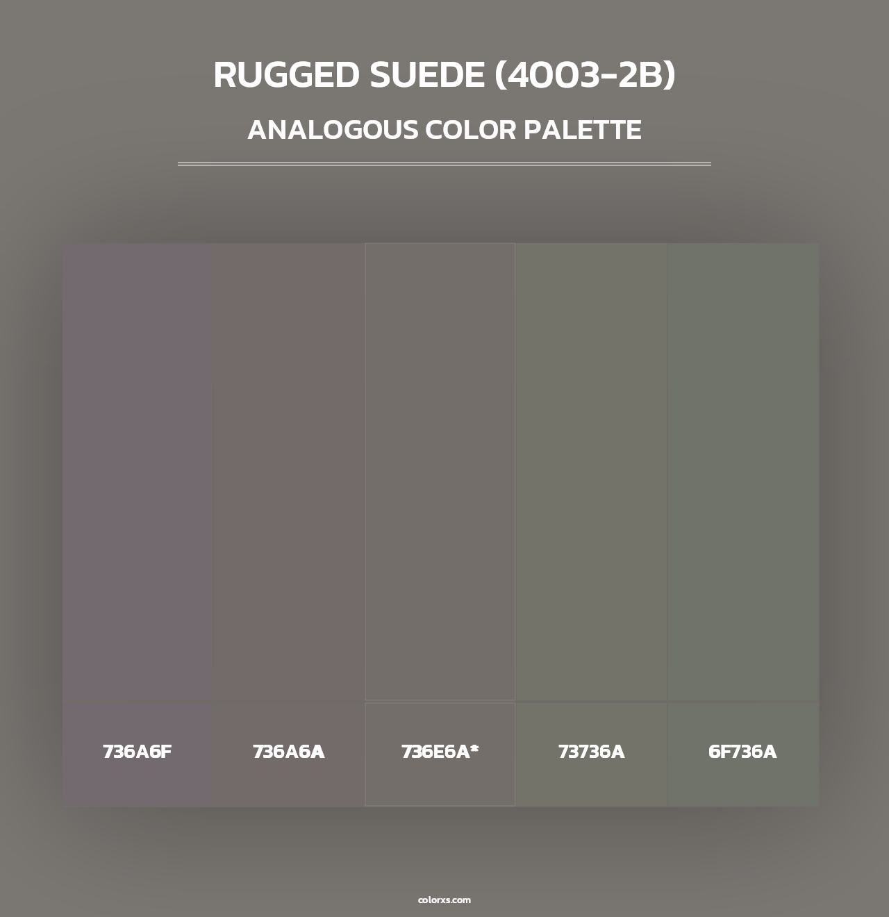 Rugged Suede (4003-2B) - Analogous Color Palette