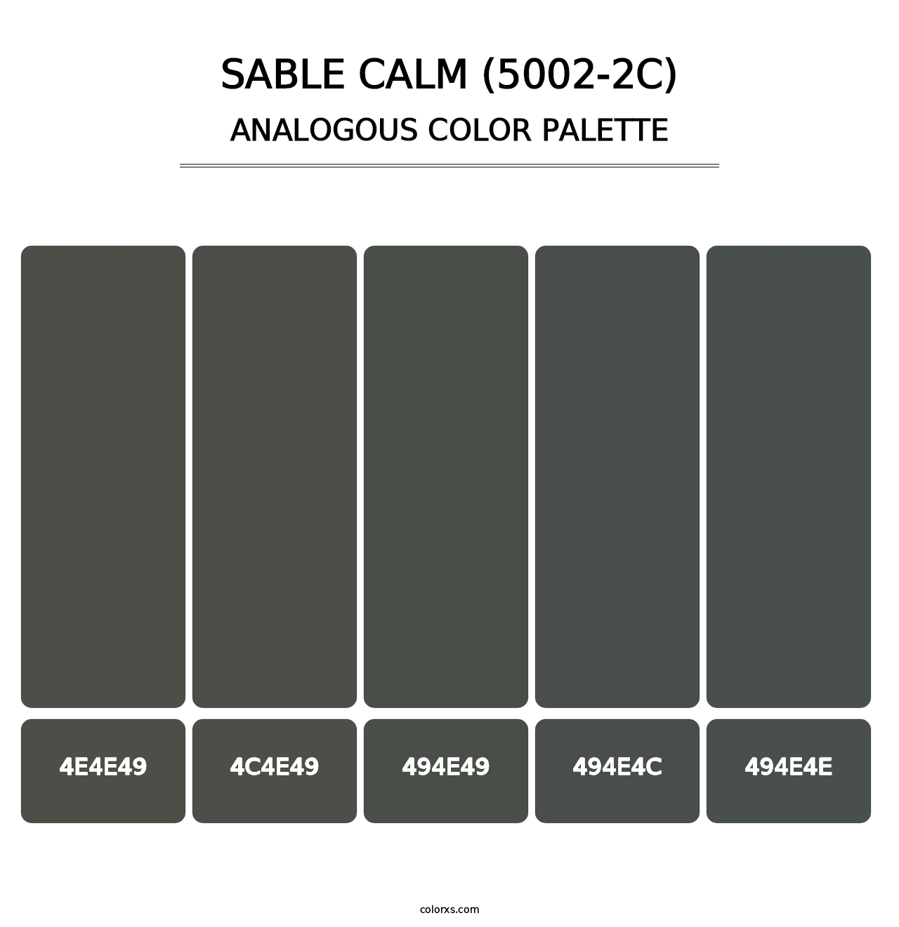 Sable Calm (5002-2C) - Analogous Color Palette