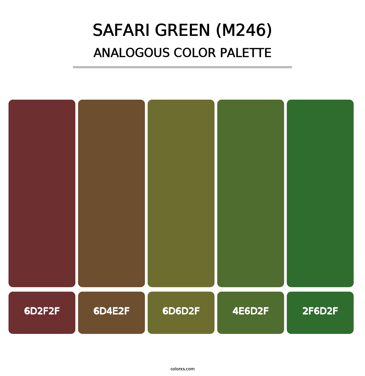 Safari Green (M246) - Analogous Color Palette