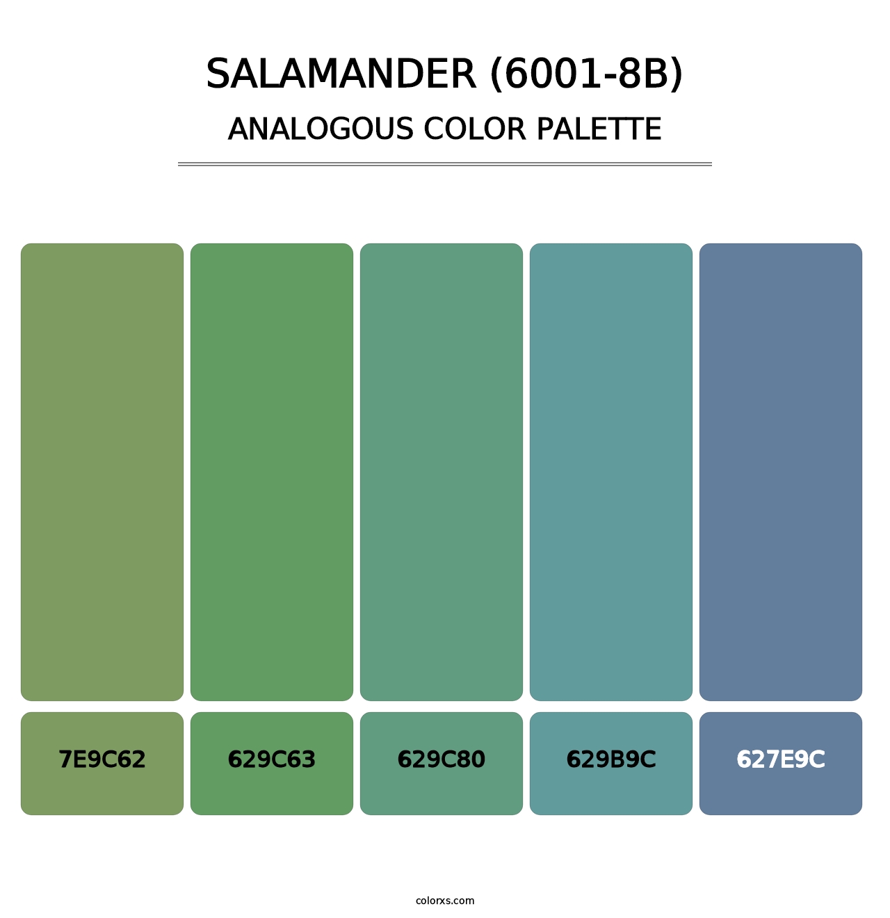 Salamander (6001-8B) - Analogous Color Palette