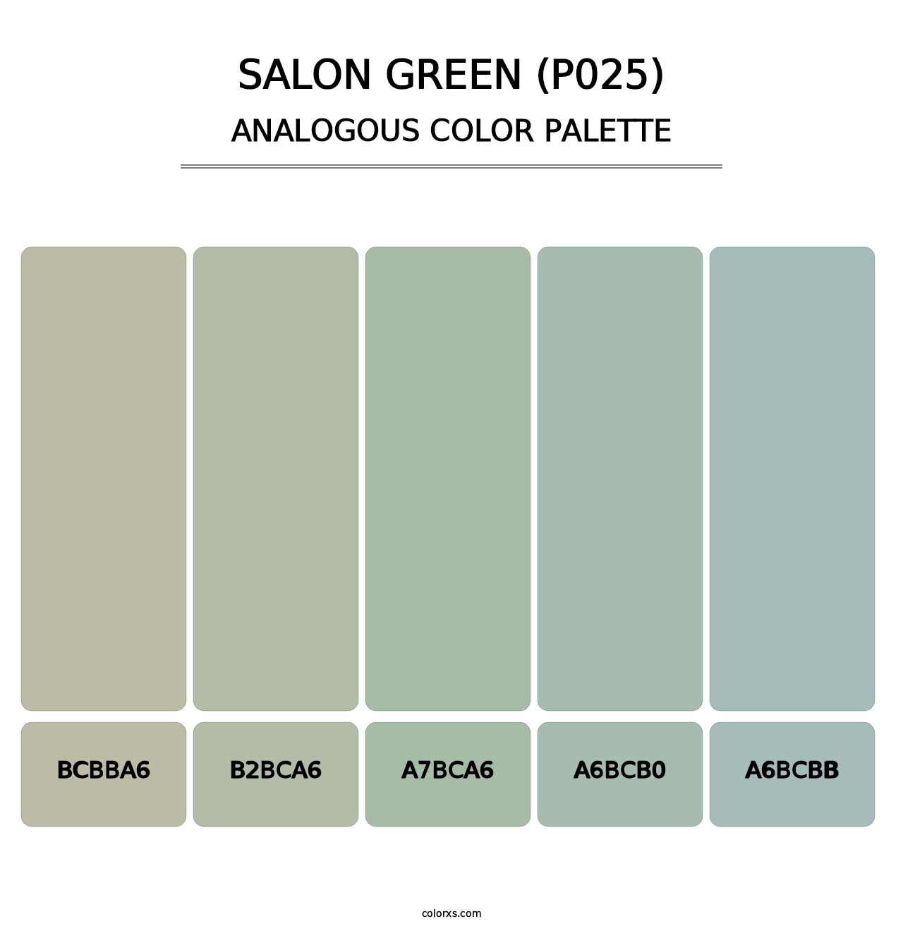 Salon Green (P025) - Analogous Color Palette