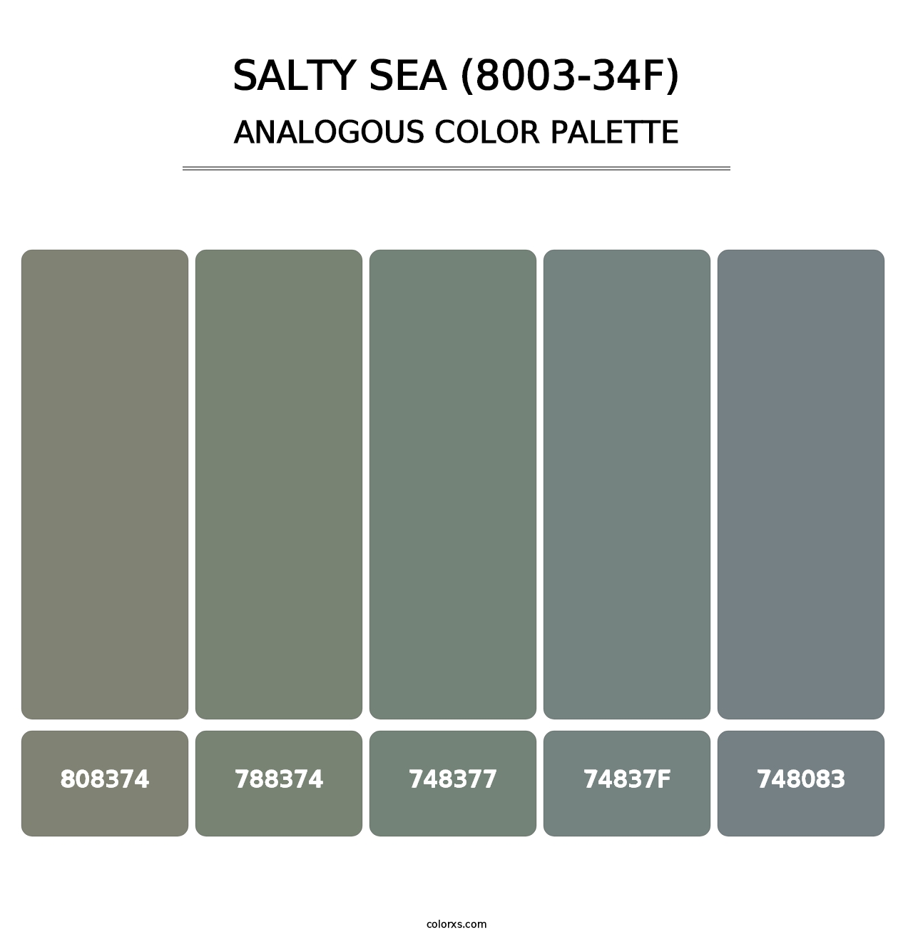 Salty Sea (8003-34F) - Analogous Color Palette