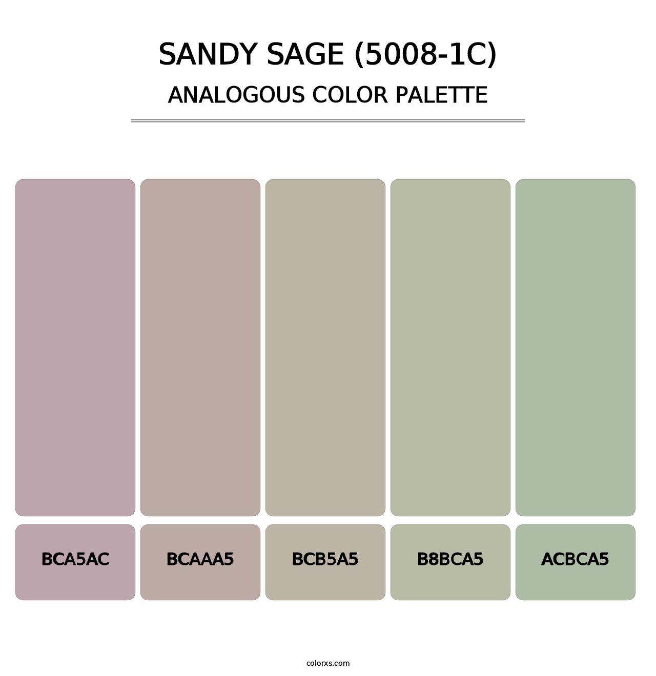 Sandy Sage (5008-1C) - Analogous Color Palette
