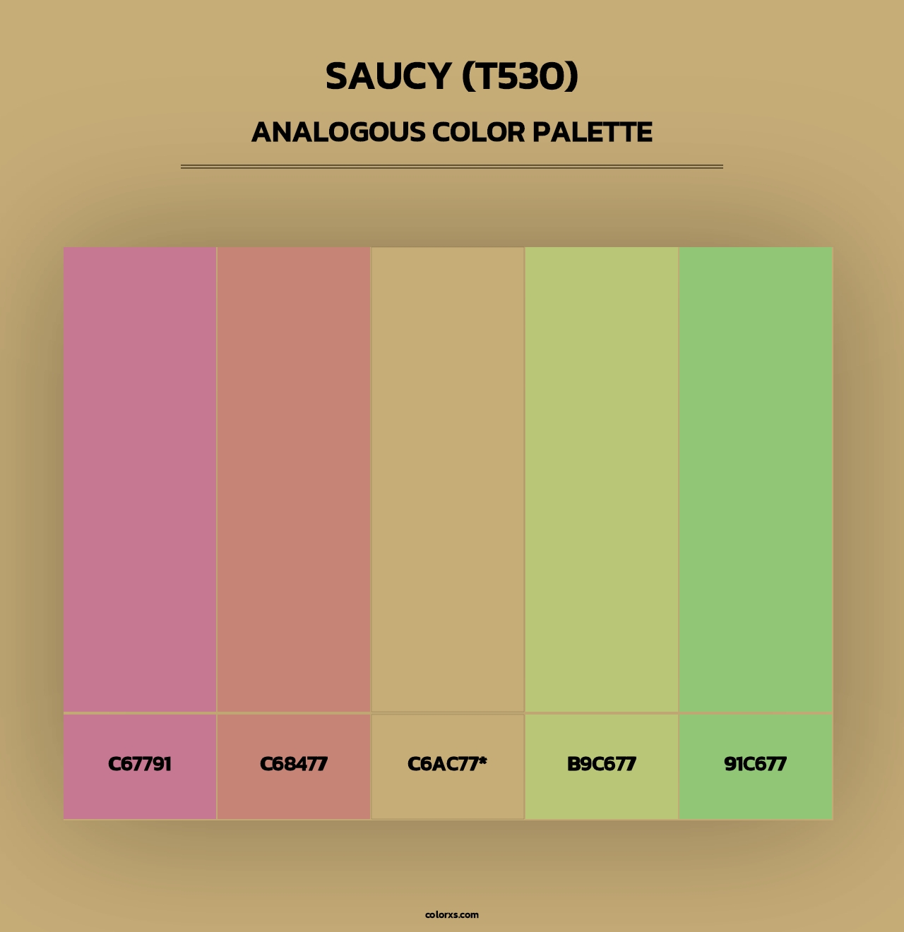 Saucy (T530) - Analogous Color Palette