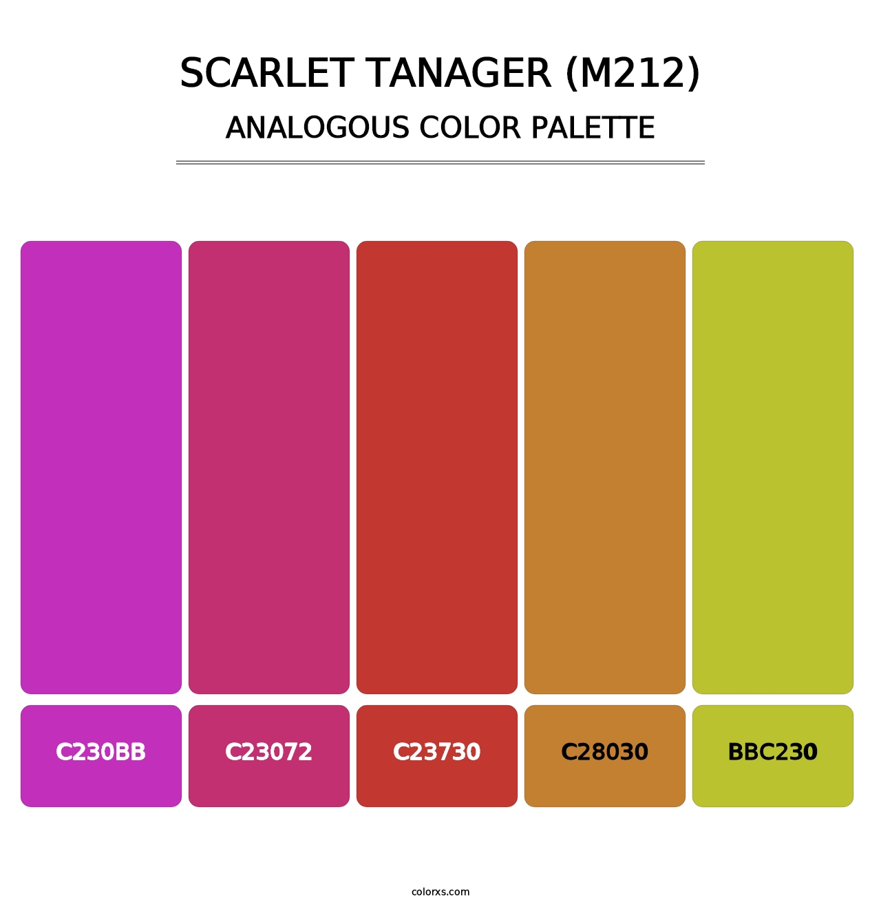 Scarlet Tanager (M212) - Analogous Color Palette