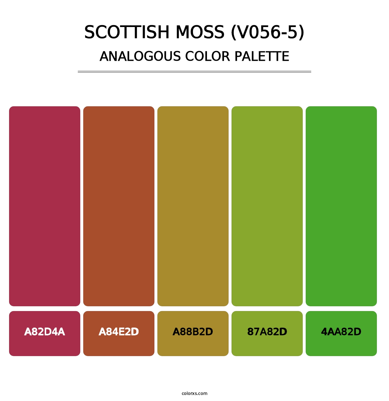 Scottish Moss (V056-5) - Analogous Color Palette