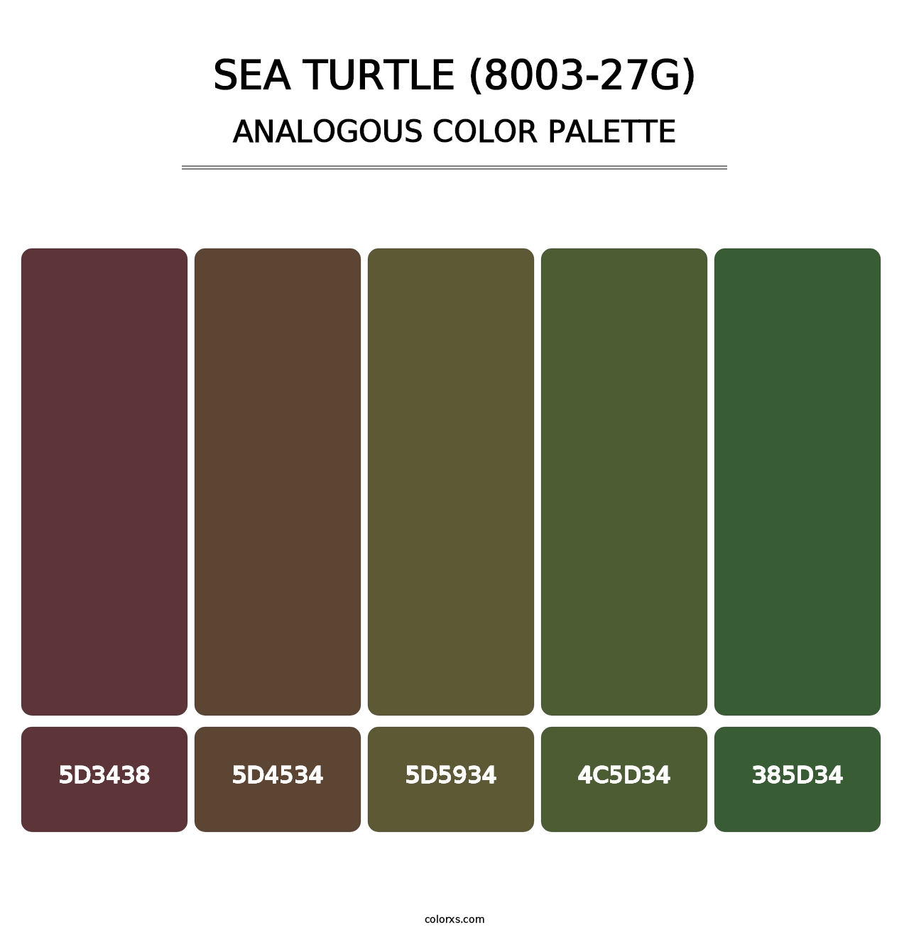 Sea Turtle (8003-27G) - Analogous Color Palette