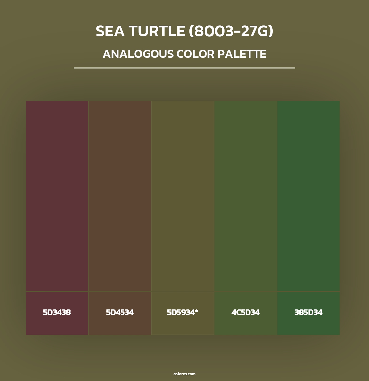 Sea Turtle (8003-27G) - Analogous Color Palette