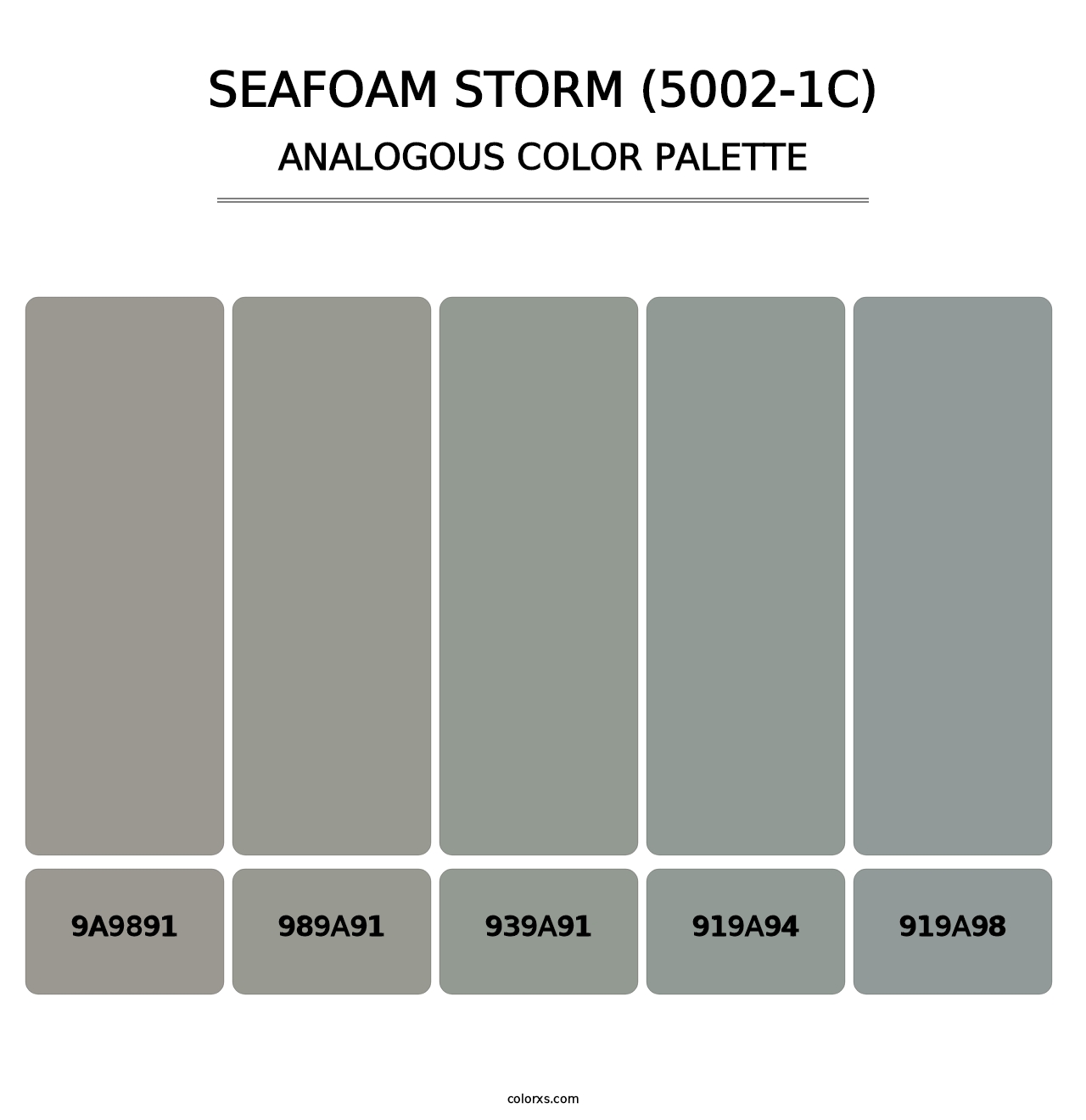 Seafoam Storm (5002-1C) - Analogous Color Palette