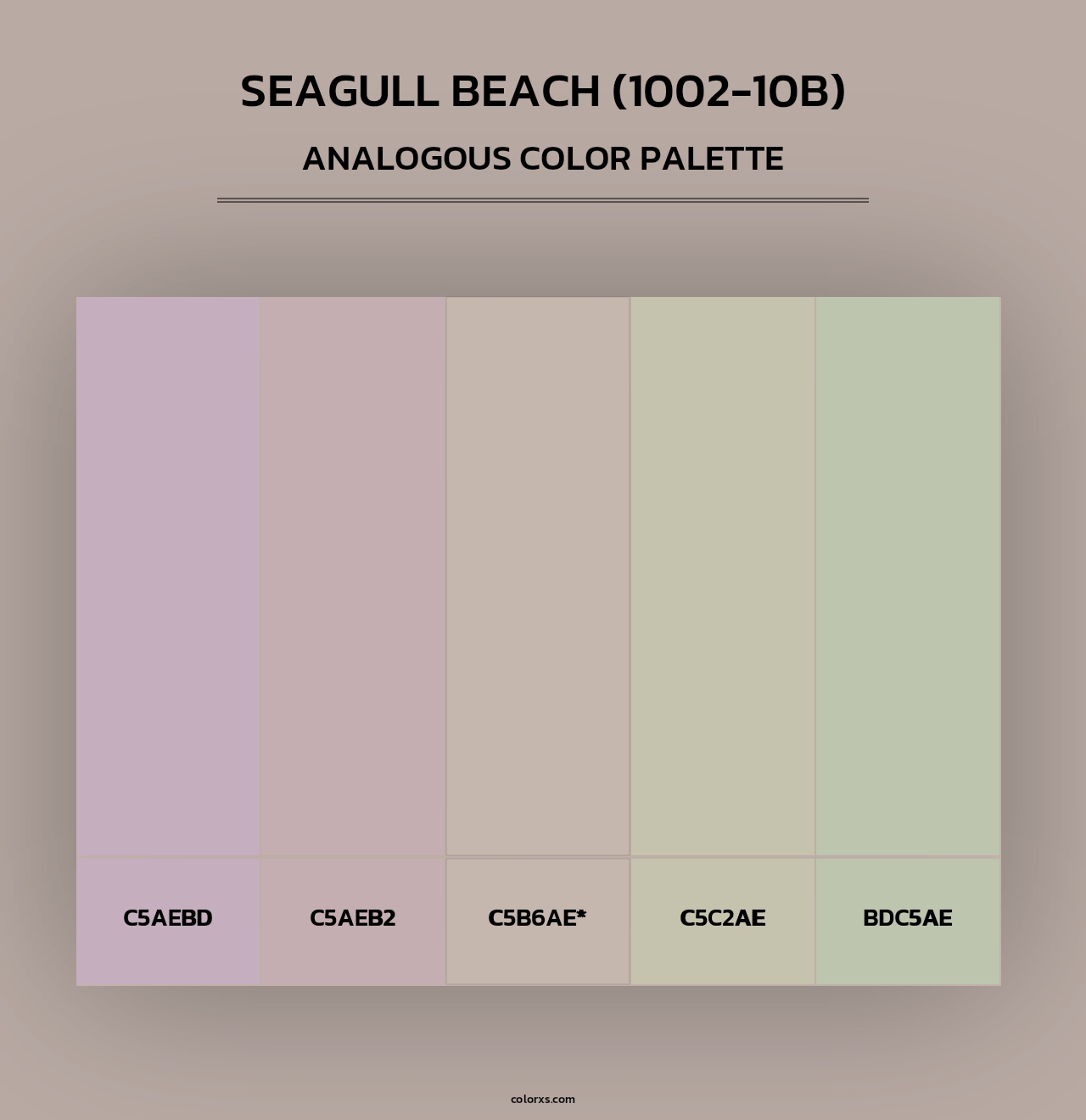 Seagull Beach (1002-10B) - Analogous Color Palette