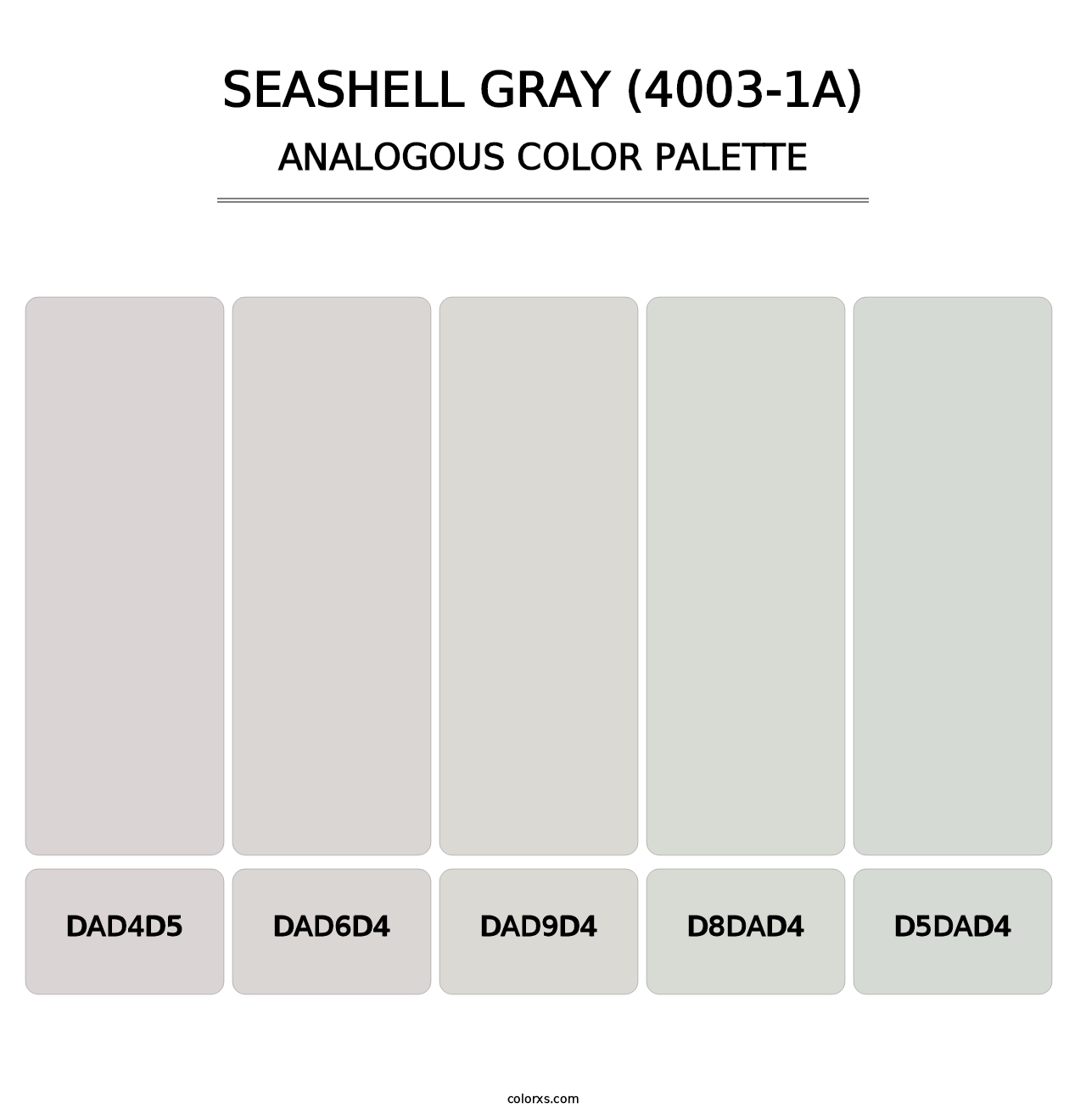 Seashell Gray (4003-1A) - Analogous Color Palette