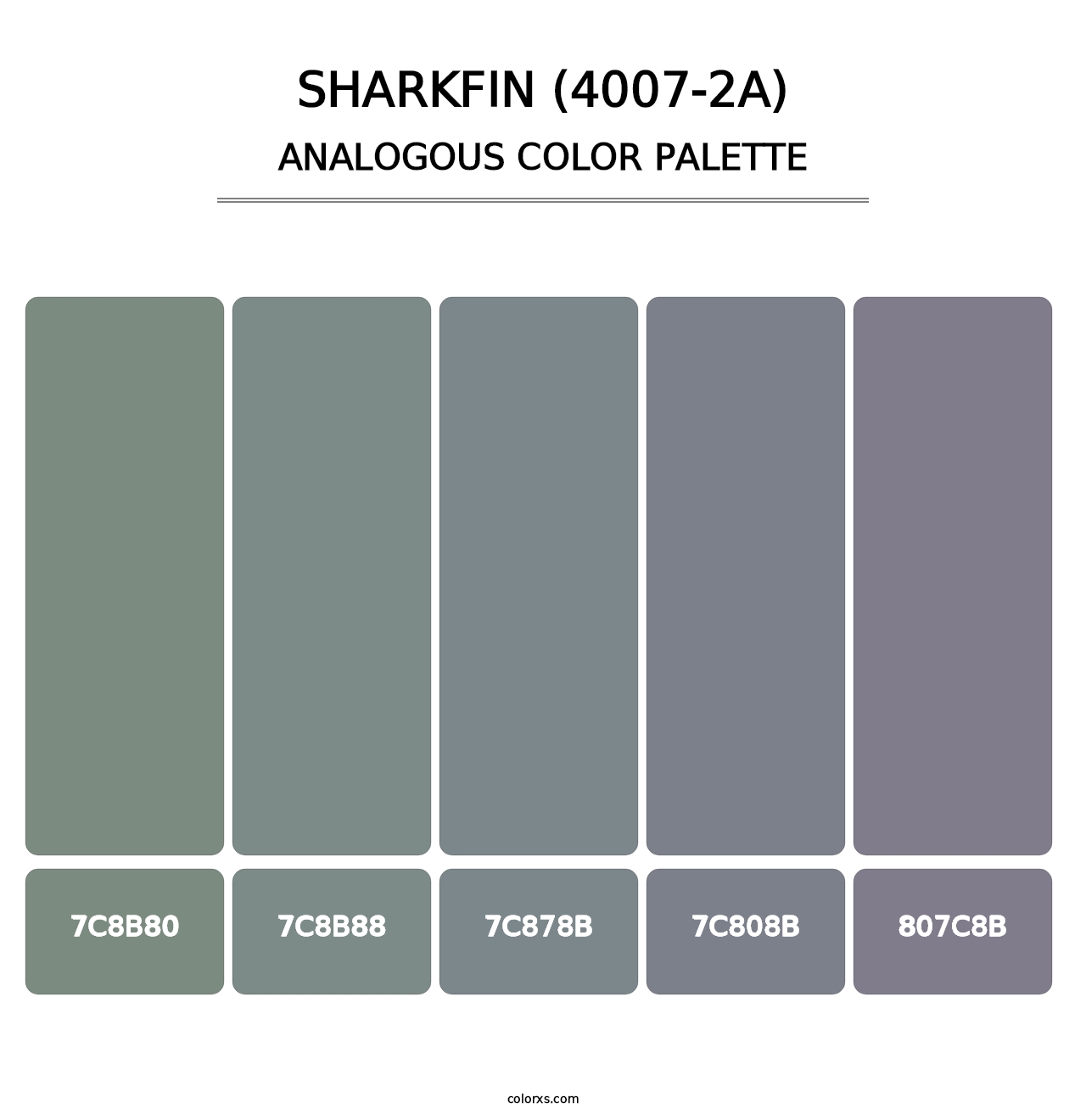 Sharkfin (4007-2A) - Analogous Color Palette