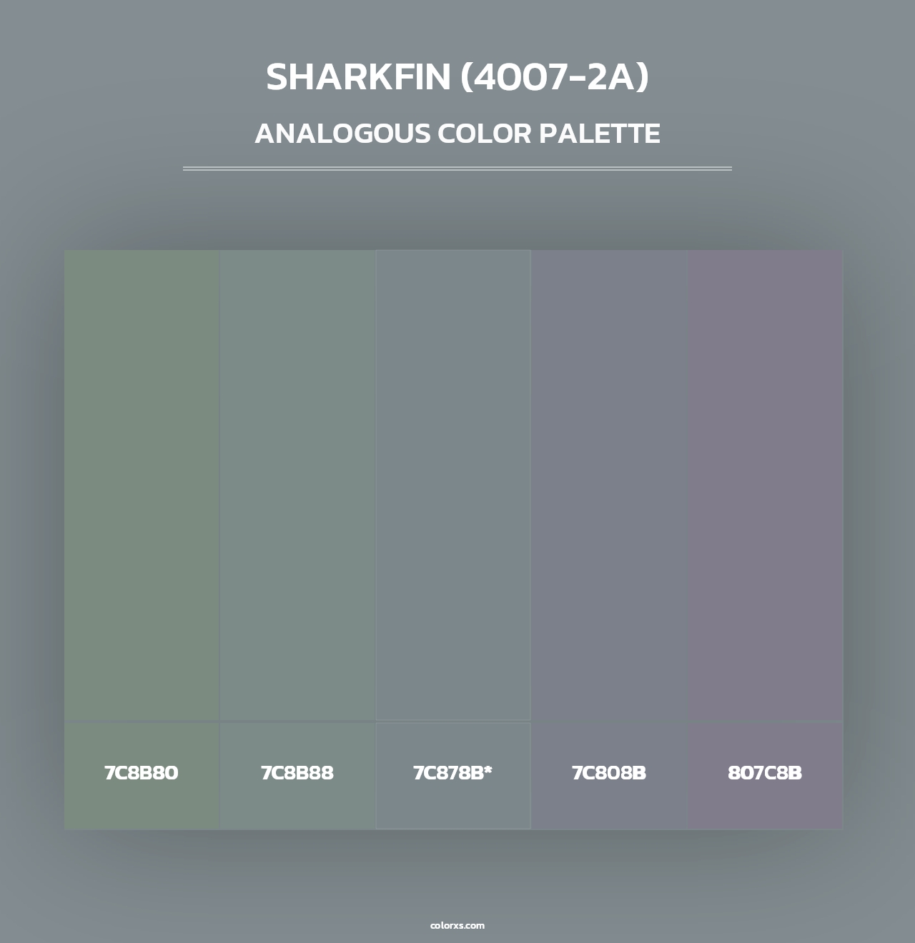 Sharkfin (4007-2A) - Analogous Color Palette