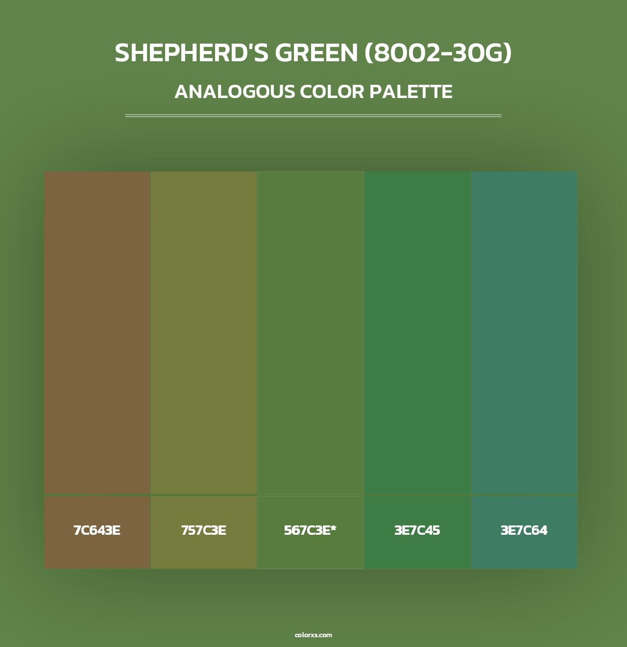 Shepherd's Green (8002-30G) - Analogous Color Palette