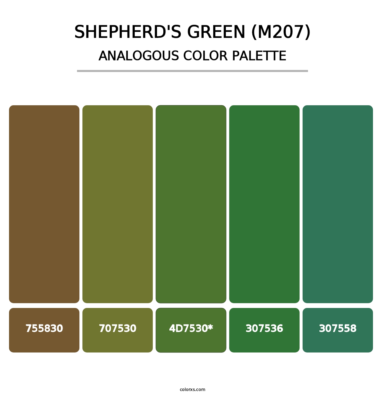 Shepherd's Green (M207) - Analogous Color Palette