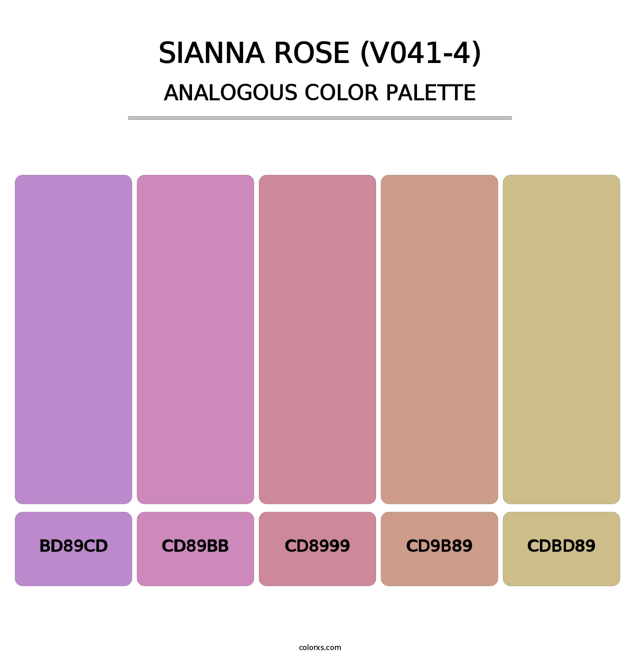 Sianna Rose (V041-4) - Analogous Color Palette
