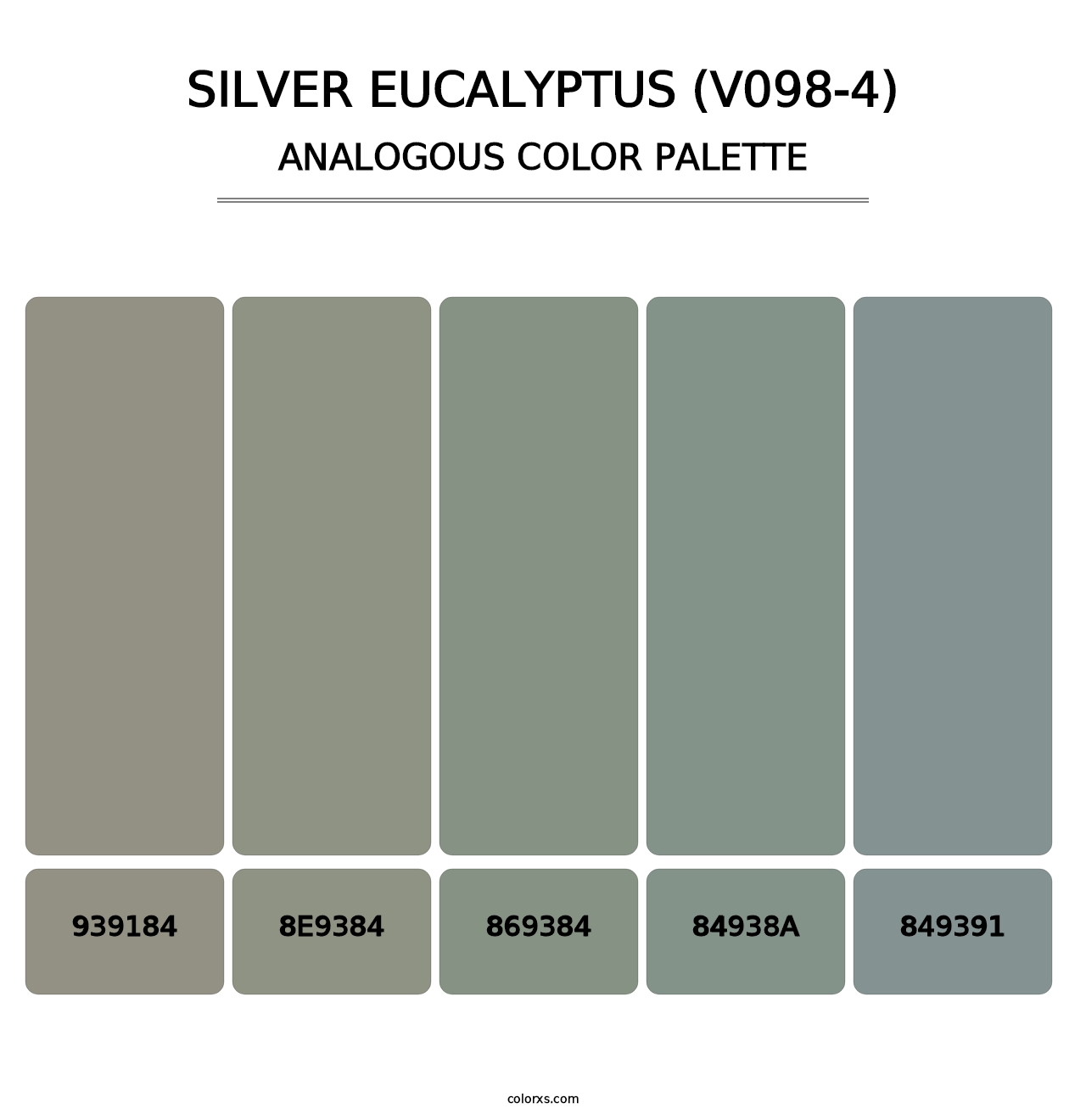 Silver Eucalyptus (V098-4) - Analogous Color Palette