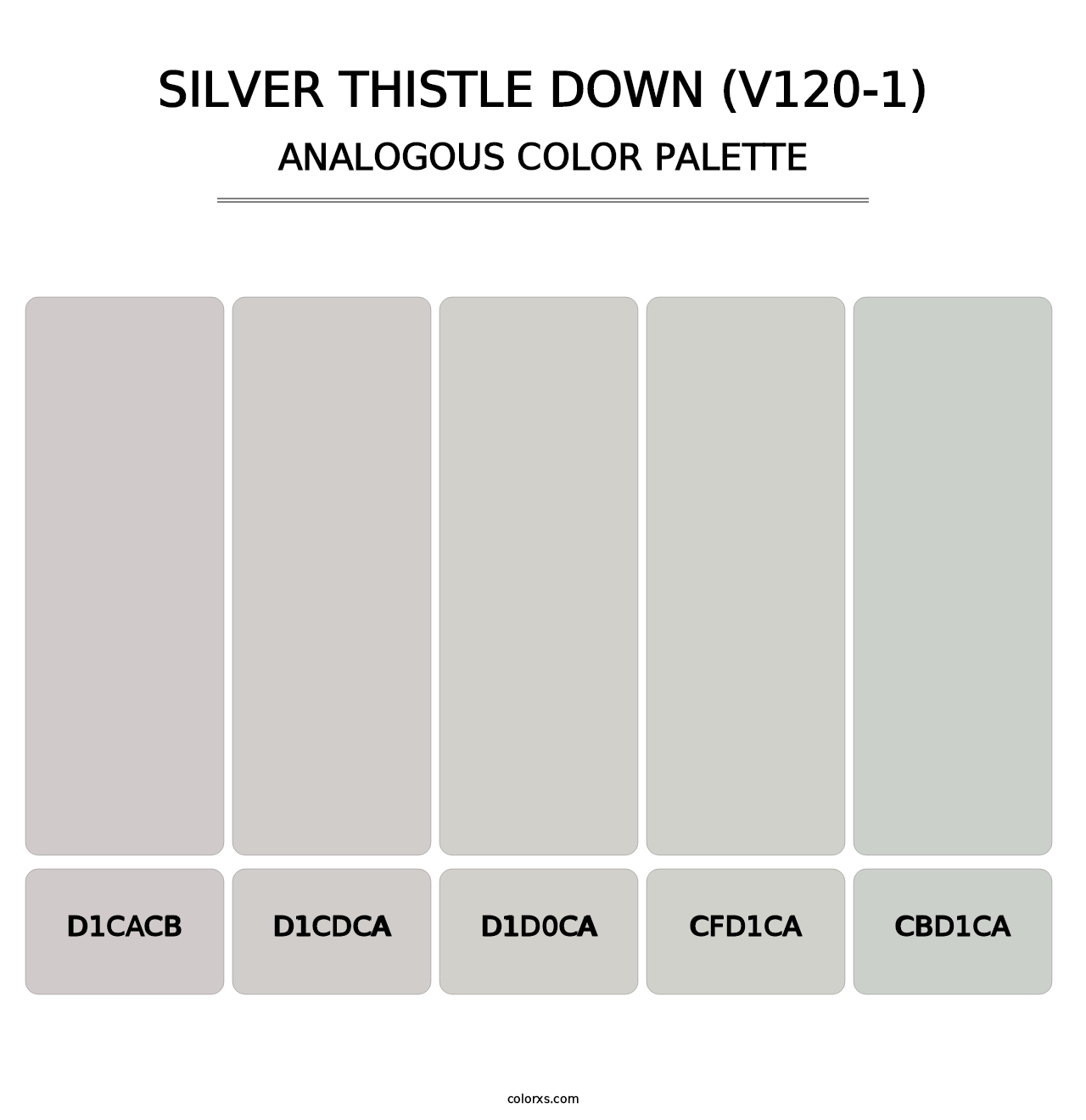 Silver Thistle Down (V120-1) - Analogous Color Palette