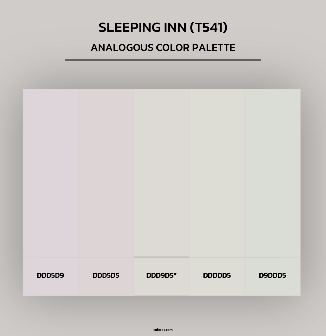 Sleeping Inn (T541) - Analogous Color Palette