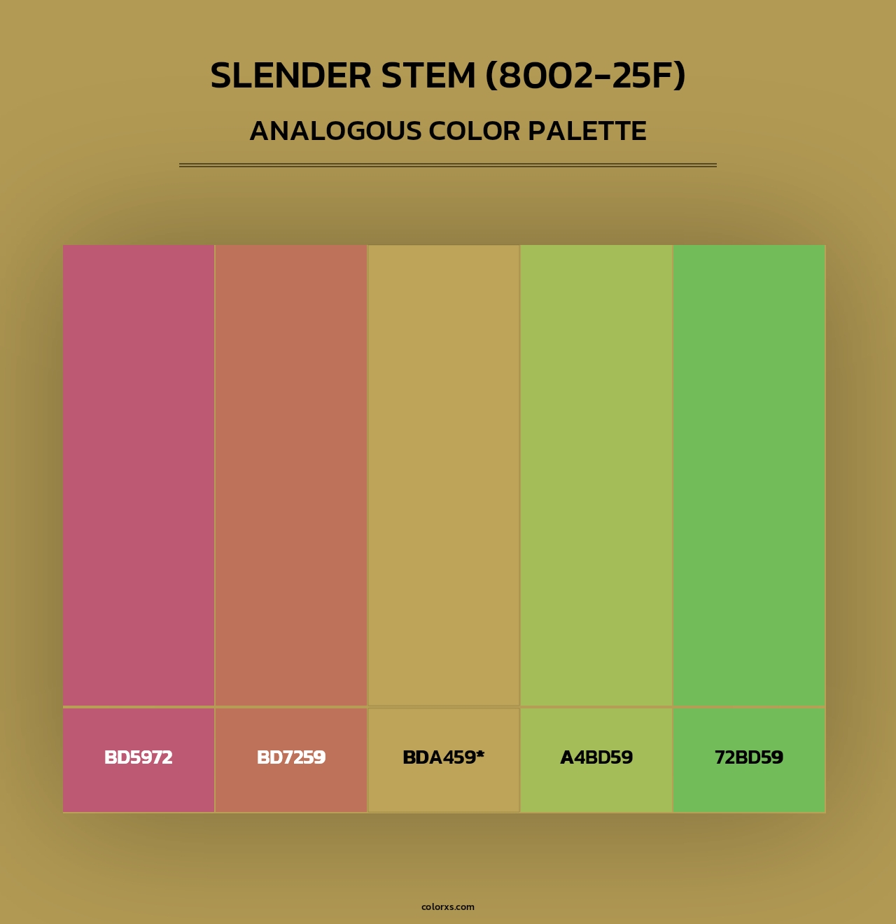 Slender Stem (8002-25F) - Analogous Color Palette