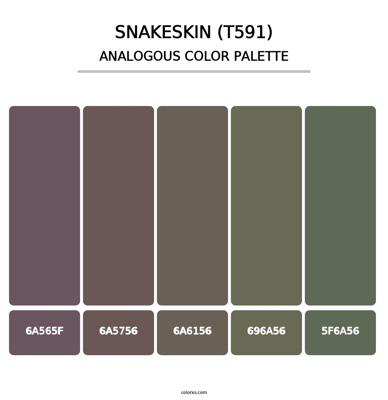 Snakeskin (T591) - Analogous Color Palette