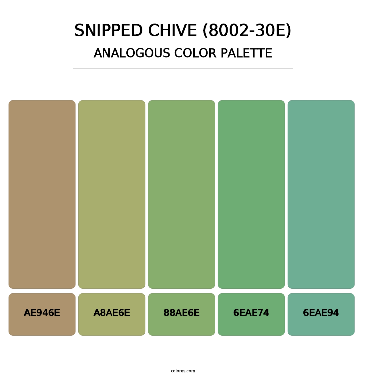Snipped Chive (8002-30E) - Analogous Color Palette