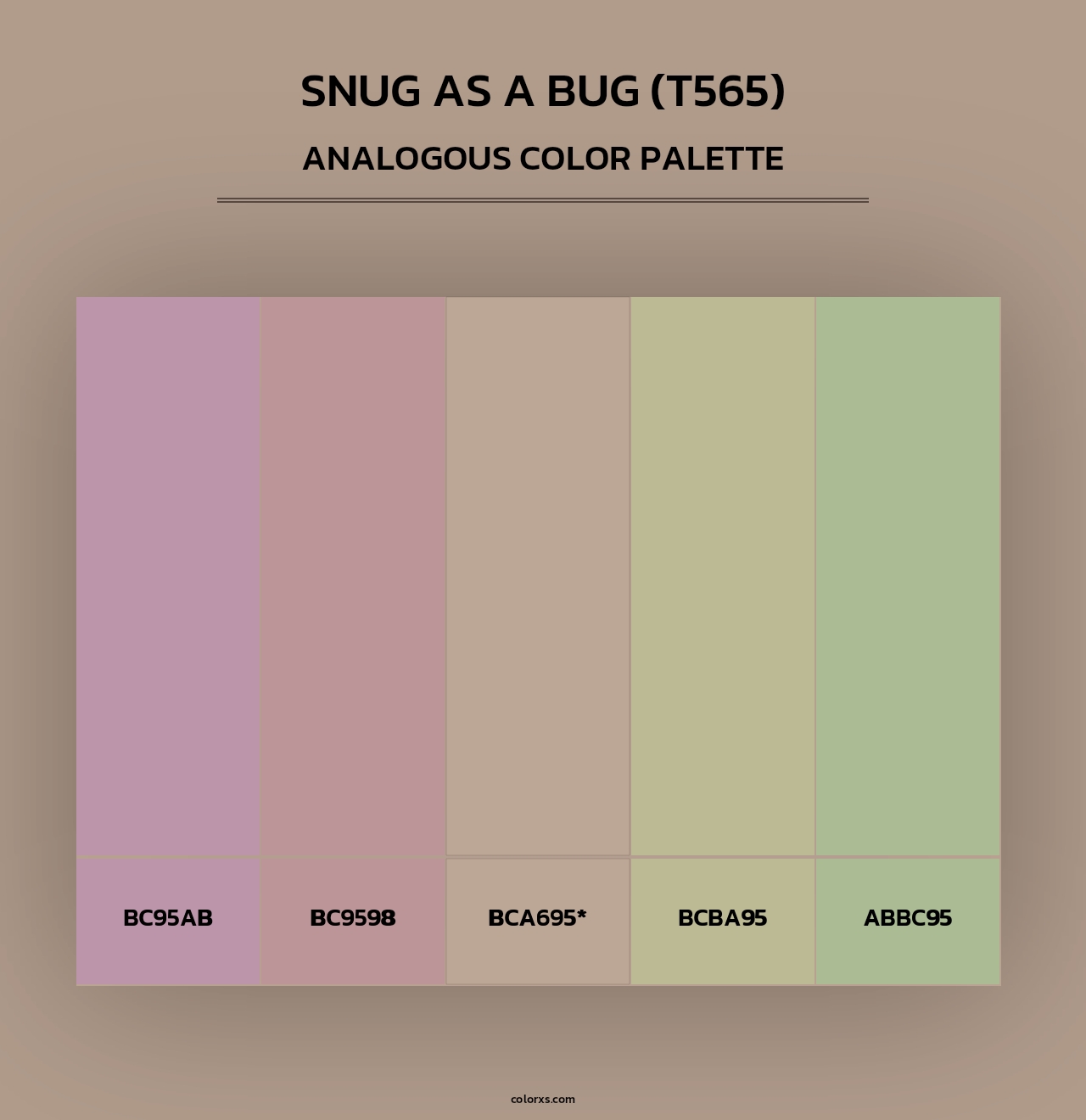 Snug as a Bug (T565) - Analogous Color Palette