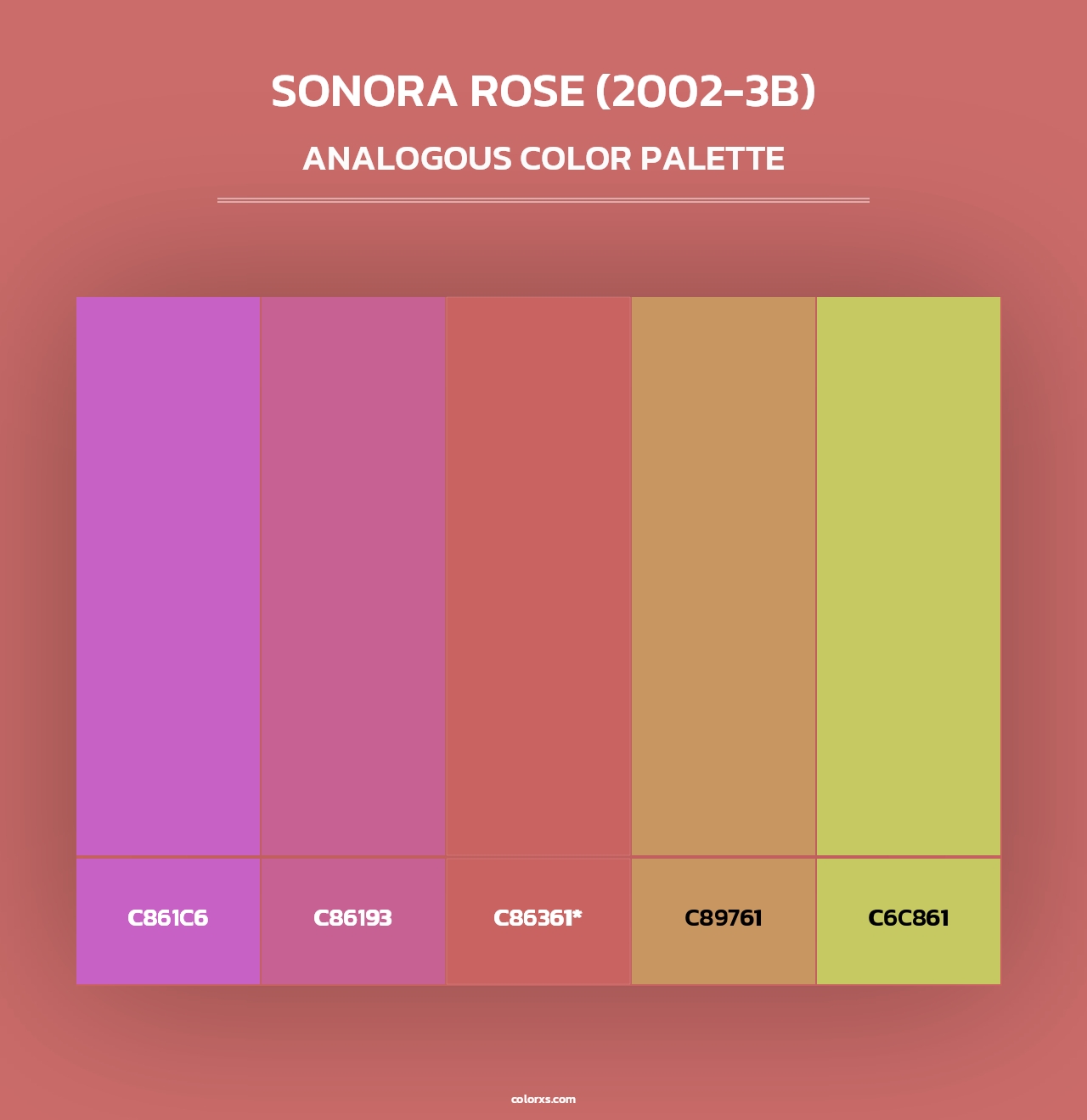 Sonora Rose (2002-3B) - Analogous Color Palette