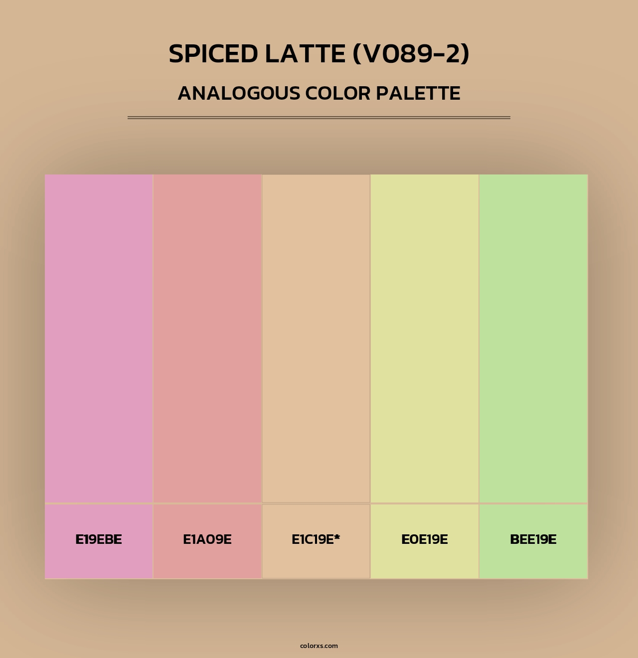 Spiced Latte (V089-2) - Analogous Color Palette