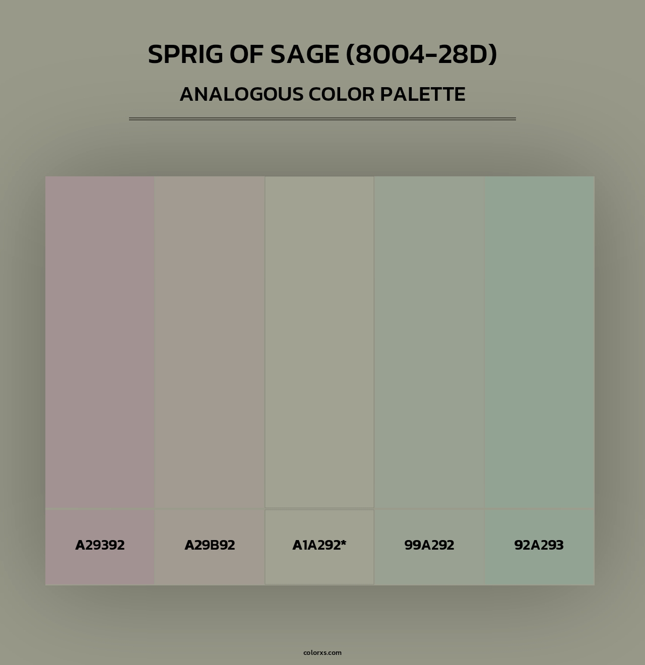 Sprig of Sage (8004-28D) - Analogous Color Palette