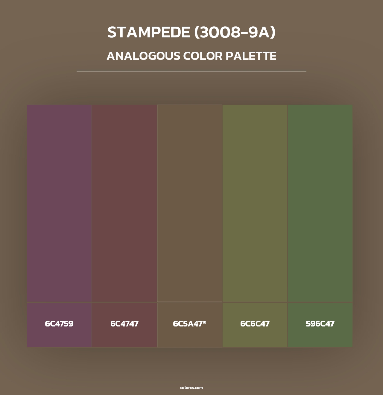 Stampede (3008-9A) - Analogous Color Palette