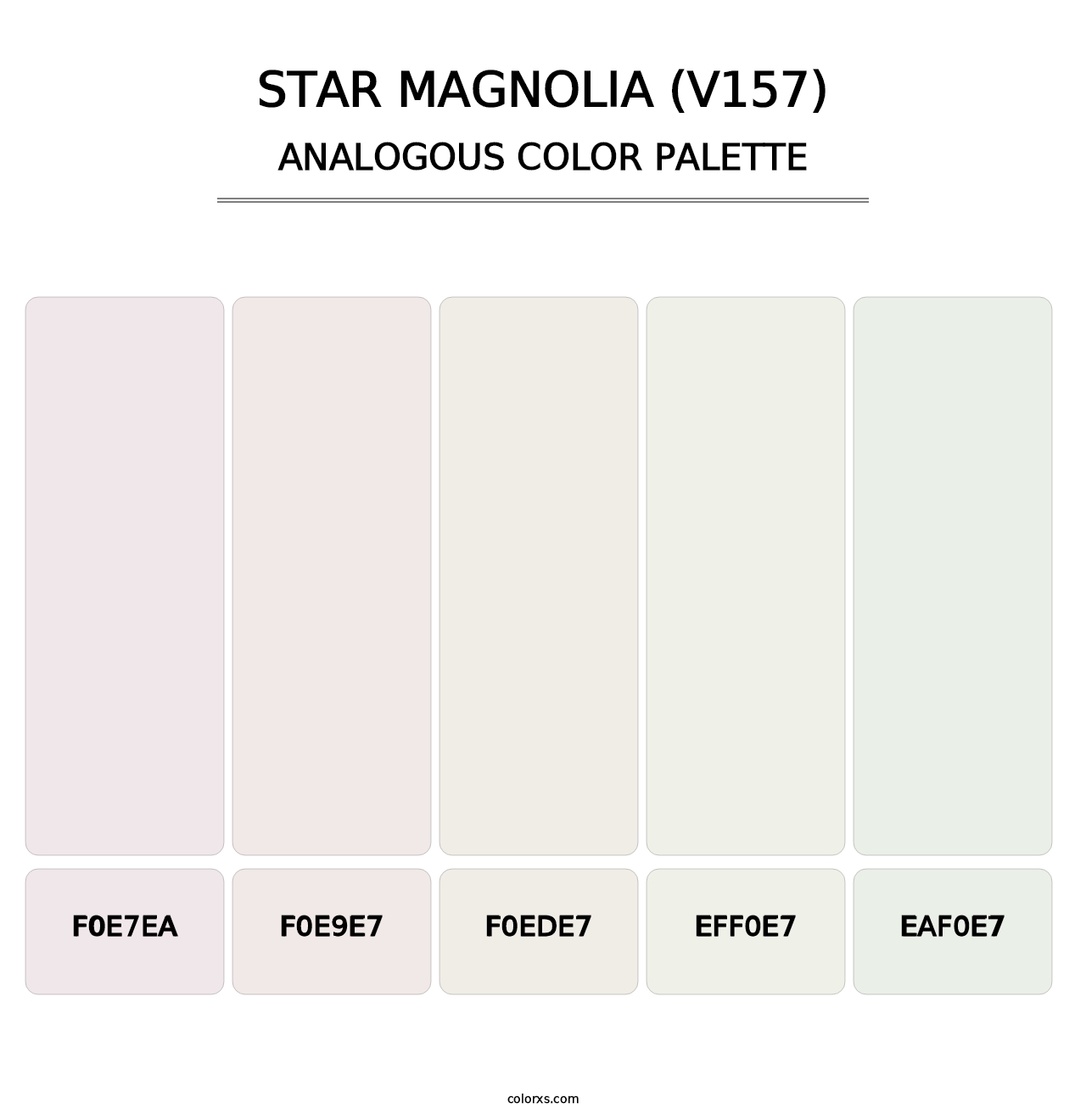 Star Magnolia (V157) - Analogous Color Palette