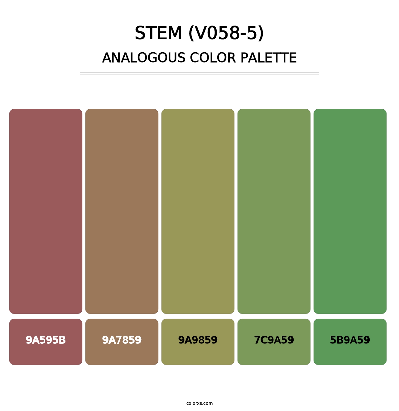 Stem (V058-5) - Analogous Color Palette