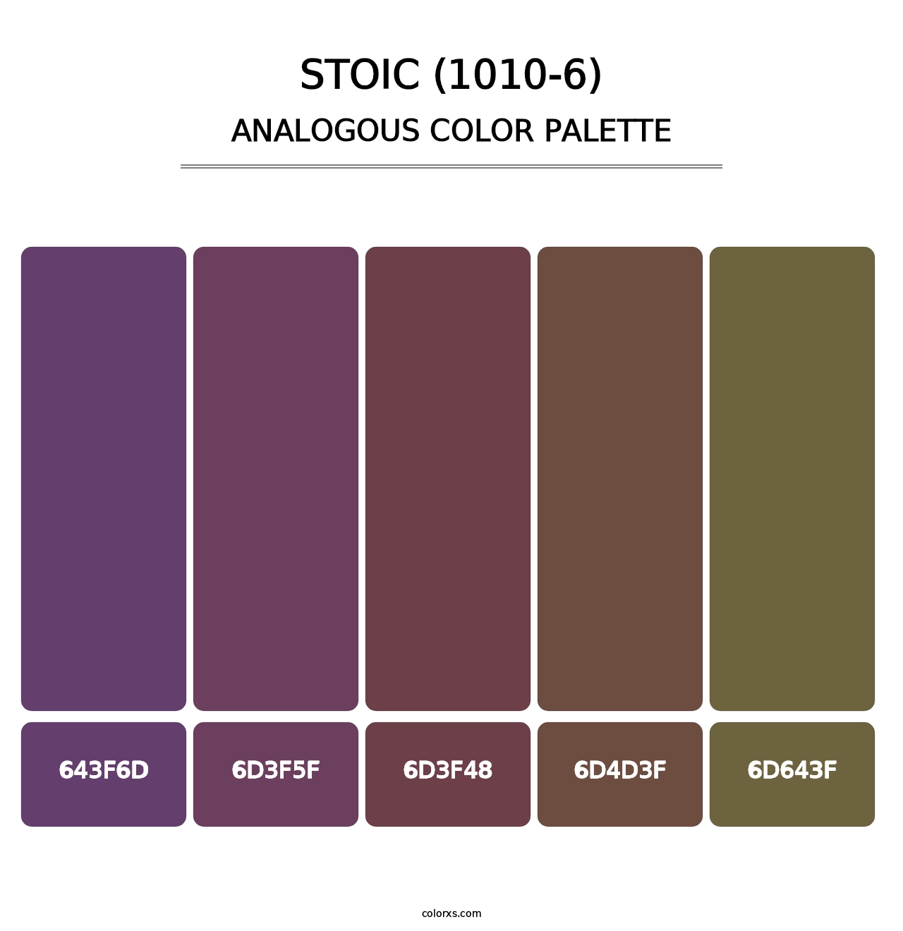 Stoic (1010-6) - Analogous Color Palette