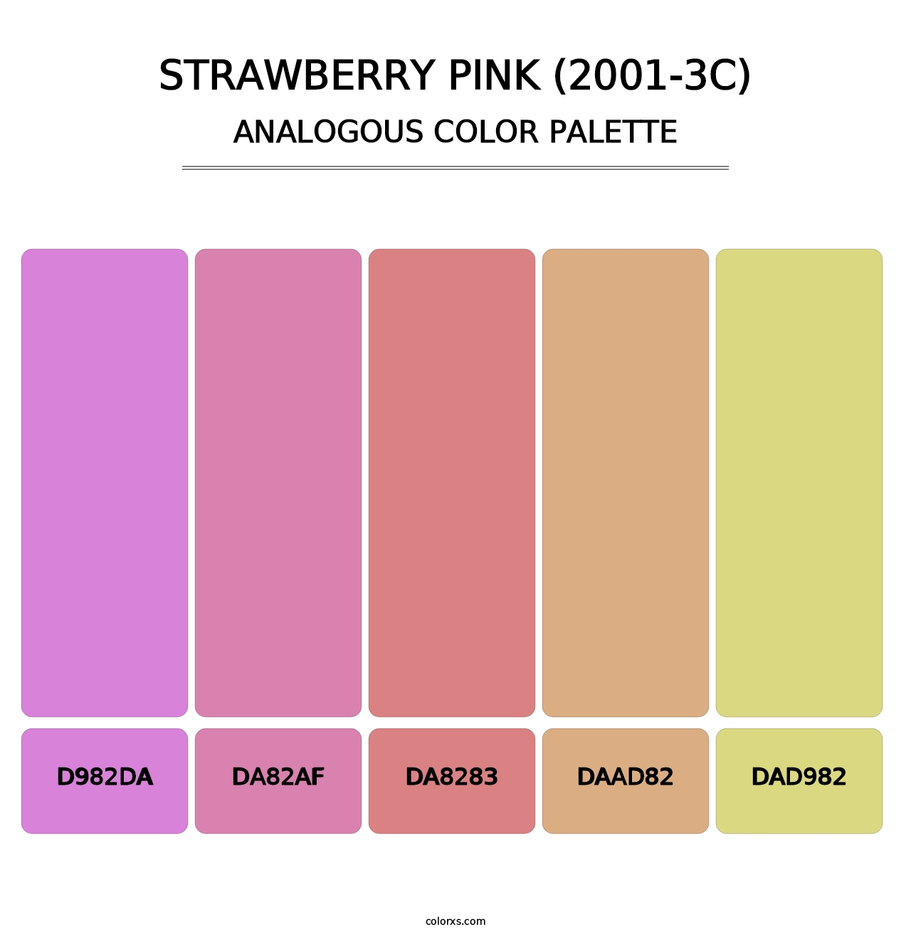 Strawberry Pink (2001-3C) - Analogous Color Palette