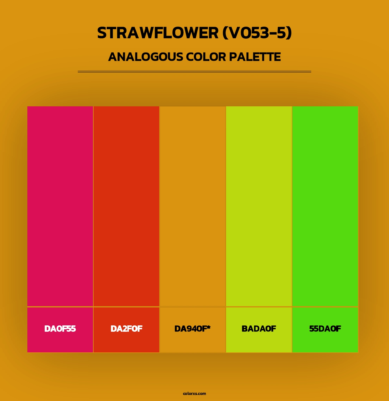 Strawflower (V053-5) - Analogous Color Palette