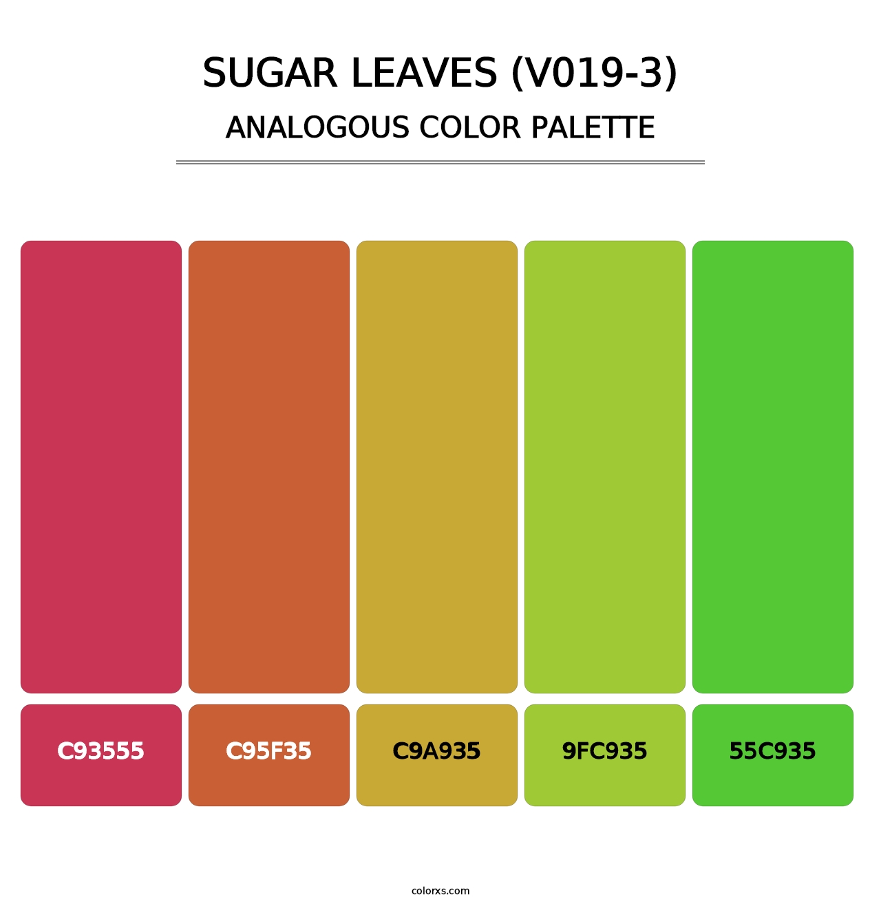 Sugar Leaves (V019-3) - Analogous Color Palette