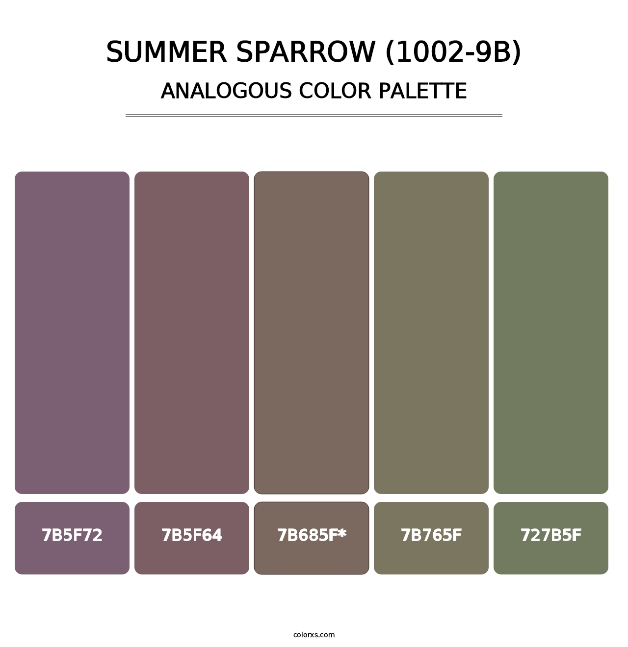 Summer Sparrow (1002-9B) - Analogous Color Palette
