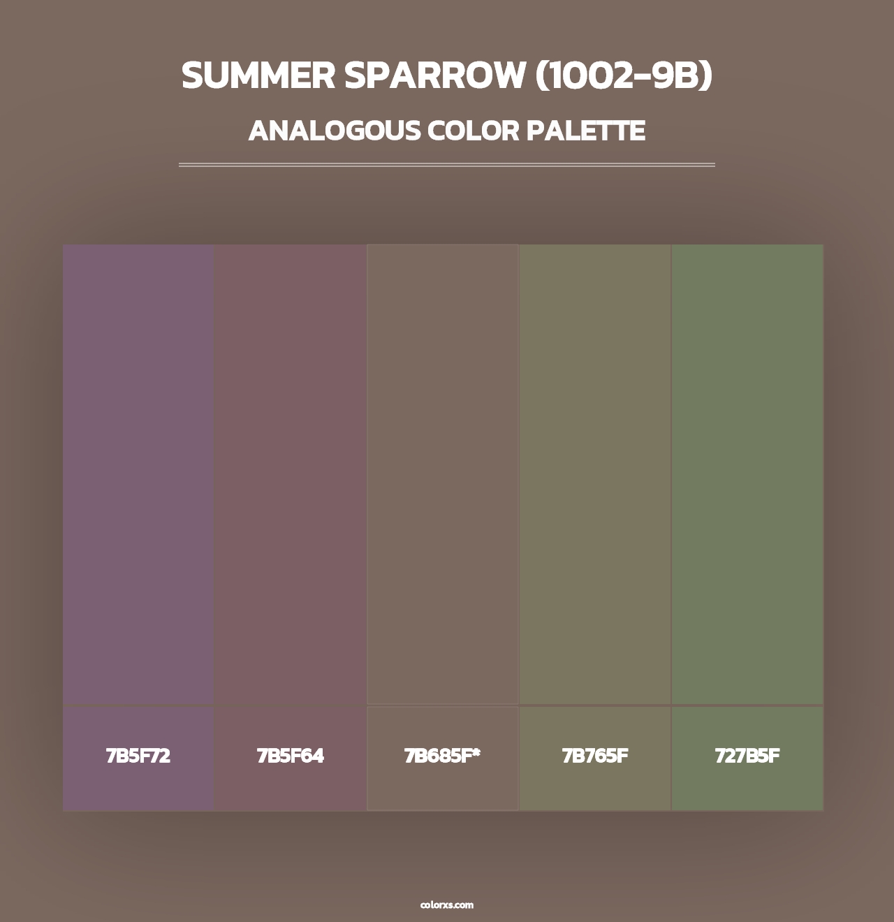 Summer Sparrow (1002-9B) - Analogous Color Palette