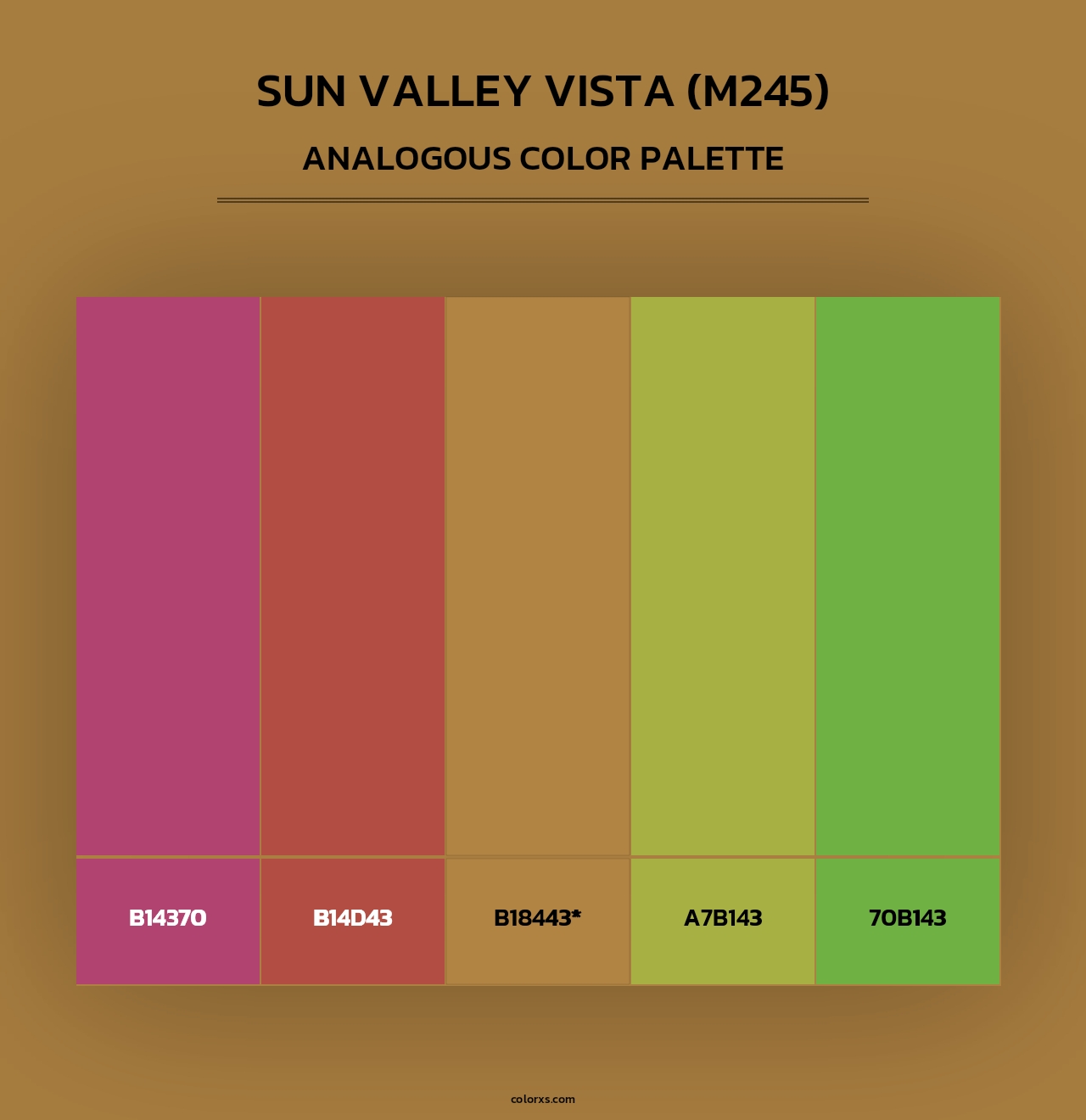 Sun Valley Vista (M245) - Analogous Color Palette