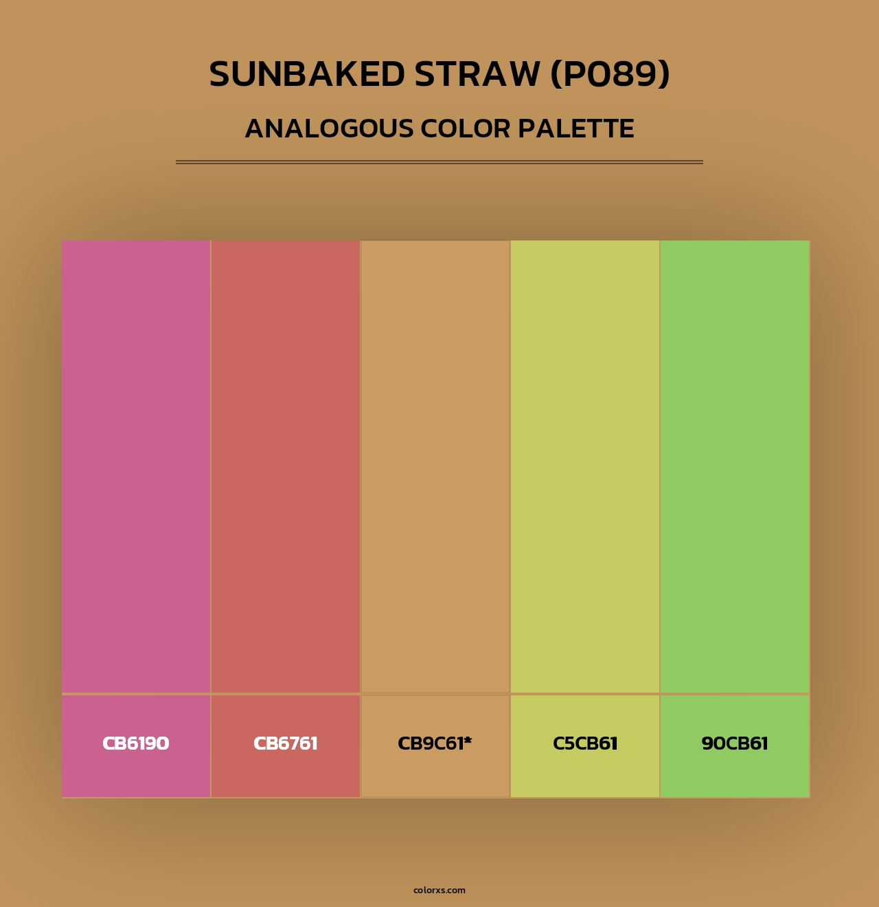 Sunbaked Straw (P089) - Analogous Color Palette