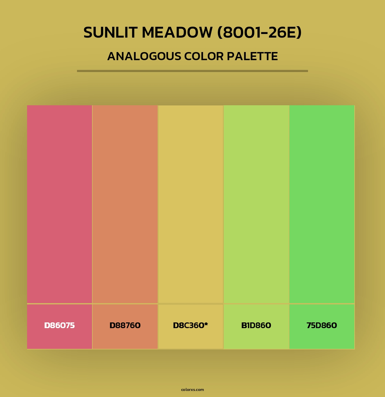 Sunlit Meadow (8001-26E) - Analogous Color Palette