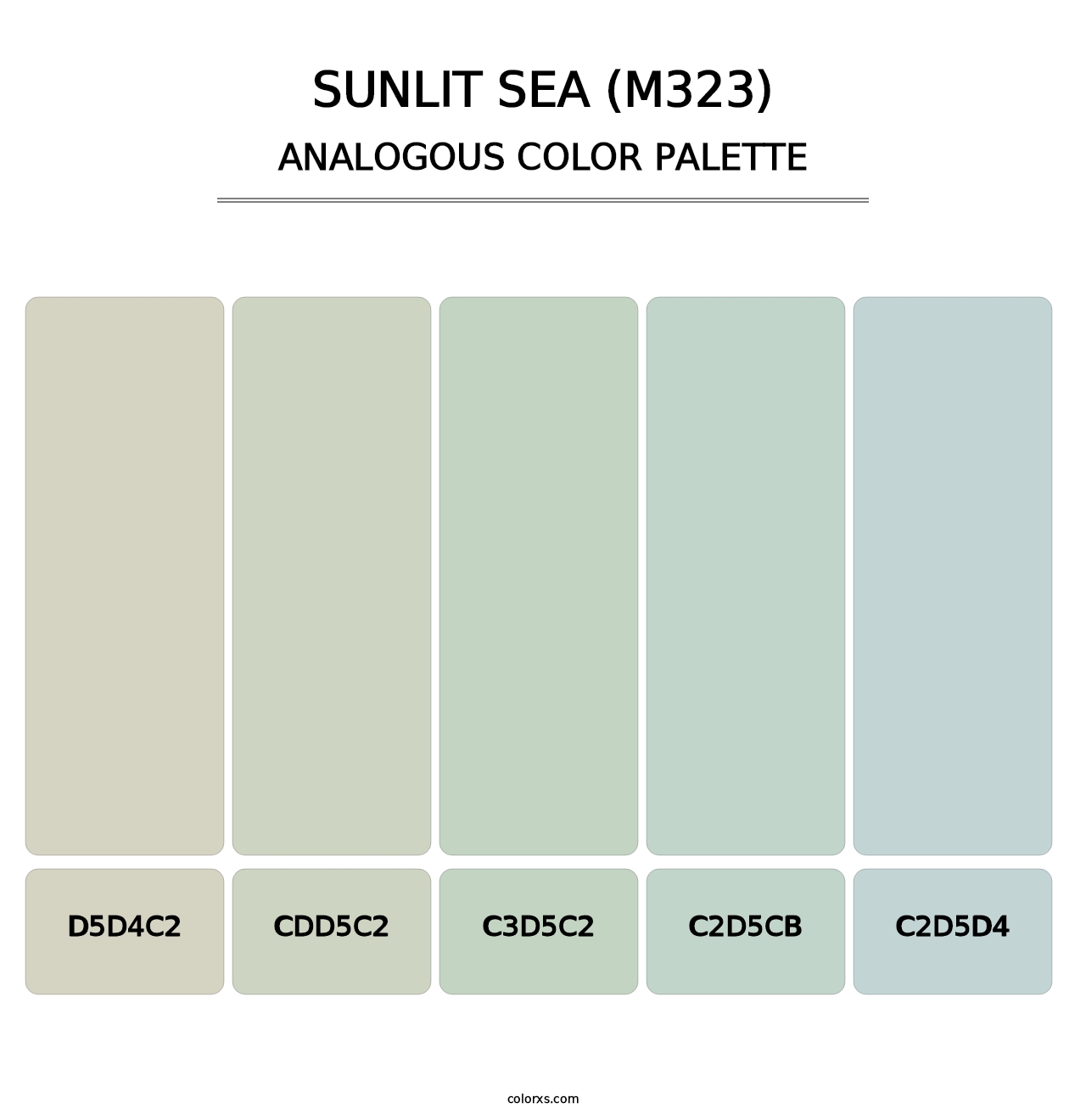 Sunlit Sea (M323) - Analogous Color Palette