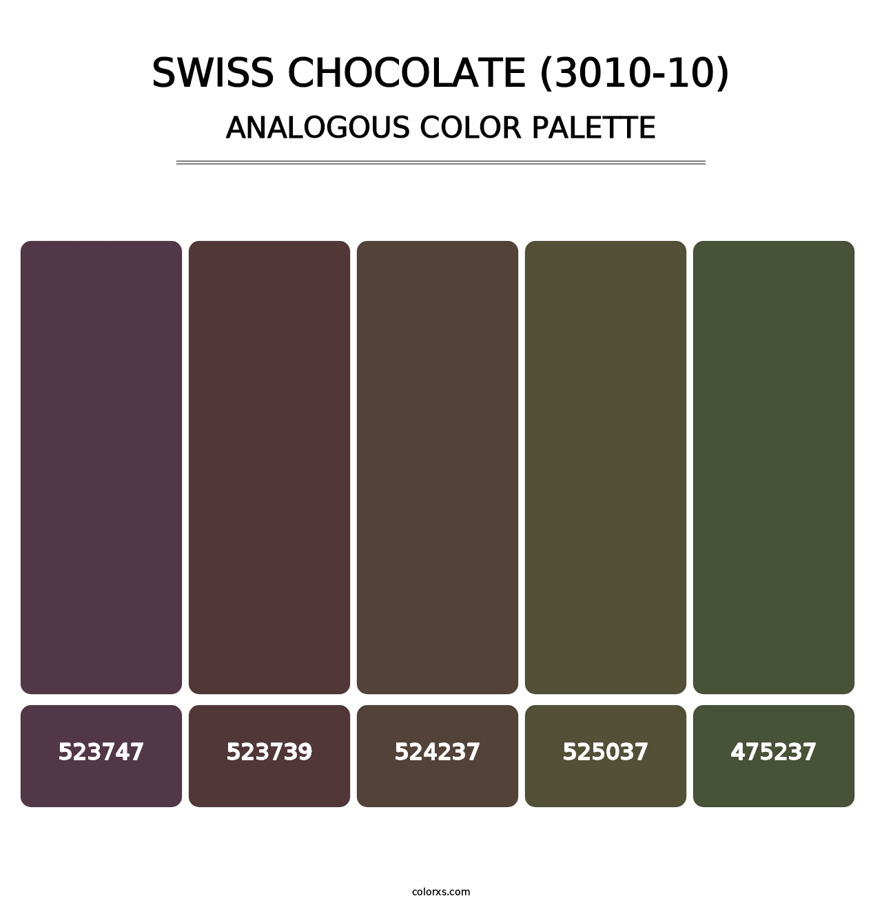 Swiss Chocolate (3010-10) - Analogous Color Palette