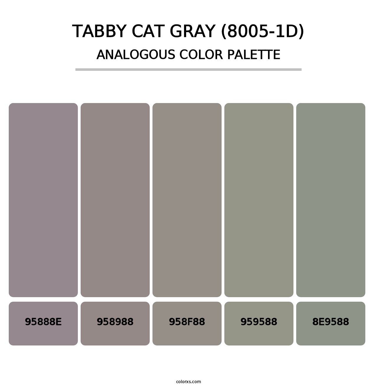 Tabby Cat Gray (8005-1D) - Analogous Color Palette