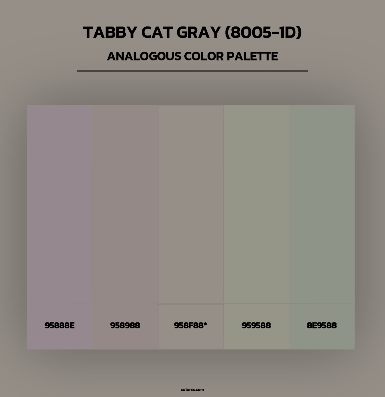Tabby Cat Gray (8005-1D) - Analogous Color Palette