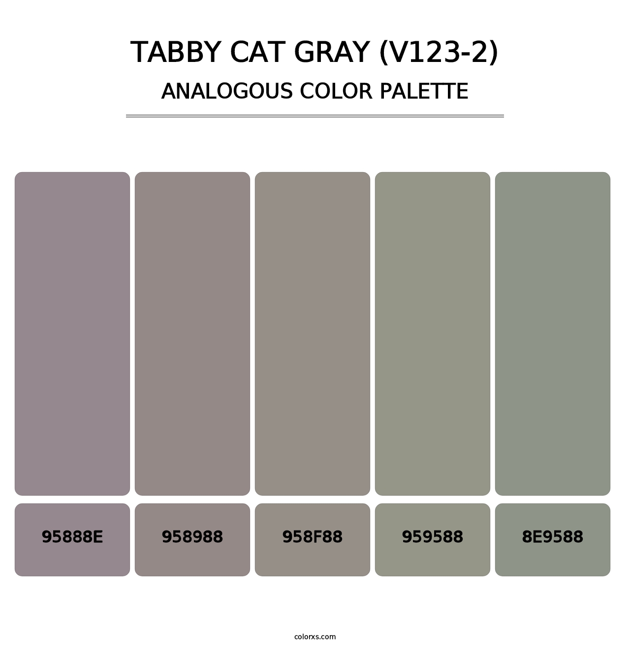Tabby Cat Gray (V123-2) - Analogous Color Palette