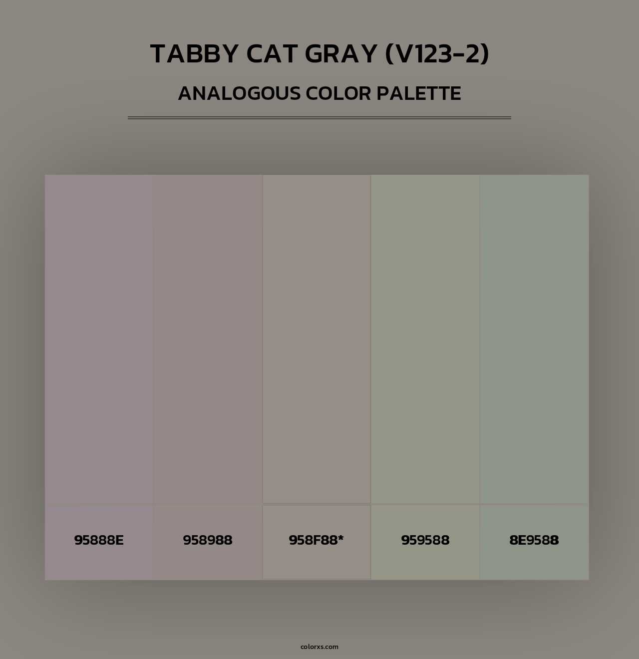 Tabby Cat Gray (V123-2) - Analogous Color Palette