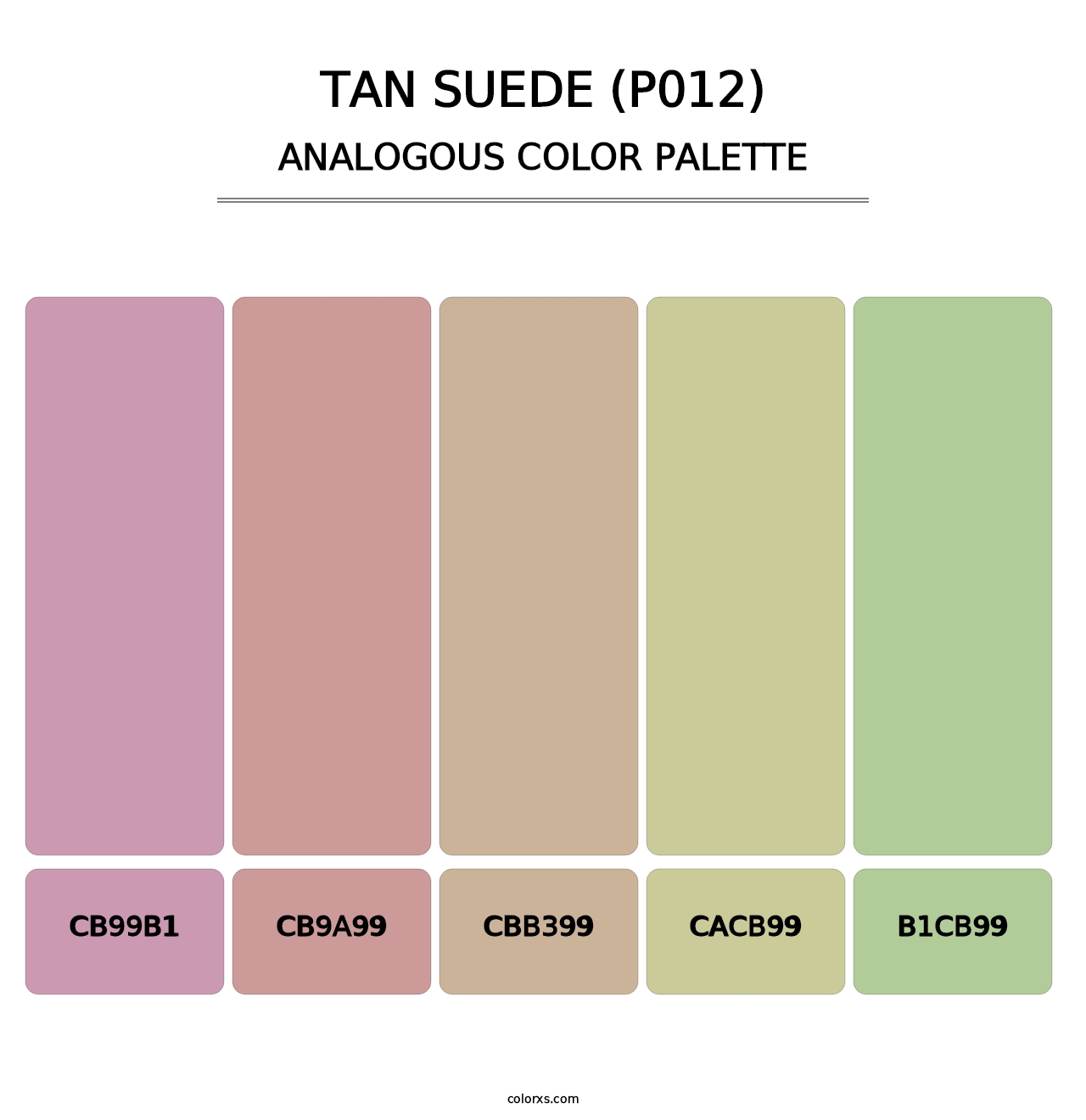 Tan Suede (P012) - Analogous Color Palette
