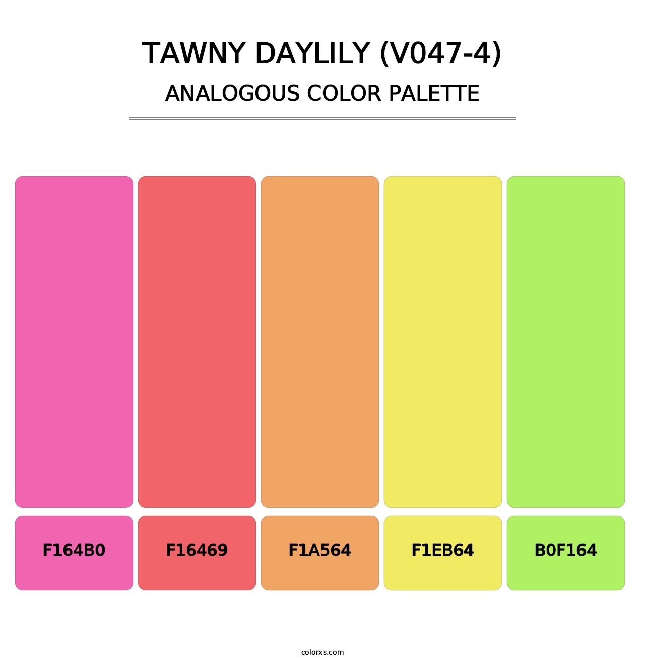 Tawny Daylily (V047-4) - Analogous Color Palette